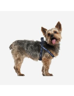 Arnés para Perro Star Wars
