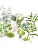 Nordic cover Naturals Siara (180 x 220 cm) (Single)
