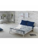 Top sheet Beverly Hills Polo Club Ryan (Double) (210 x 270 cm)