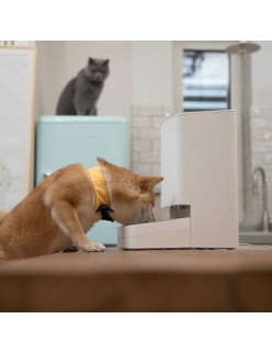 Automatische Zuführung Xiaomi