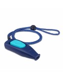 Pfeife Coachi