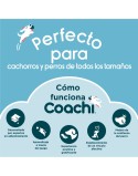 Pfeife Coachi