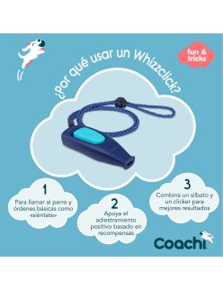 Pfeife Coachi