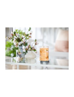 Vela Perfumada Yankee Candle Mango Ice Cream 567 g