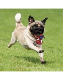 Jouet pour chien Spider-Man