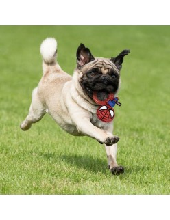 Dog toy Spider-Man