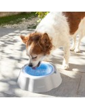 Bebedero Refrescante para Mascotas Freshty InnovaGoods