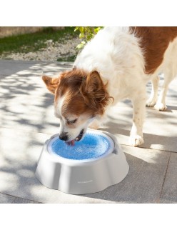 Bebedero Refrescante para Mascotas Freshty InnovaGoods