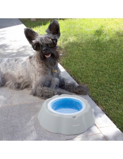 Bebedero Refrescante para Mascotas Freshty InnovaGoods