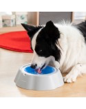Bebedero Refrescante para Mascotas Freshty InnovaGoods