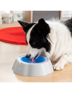Bebedero Refrescante para Mascotas Freshty InnovaGoods