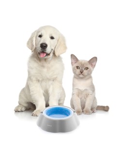Gamelle Rafraîchissante pour Animaux de Compagnie Freshty InnovaGoods
