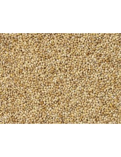 Comida para pássaros Deli Nature Premium 5 kg