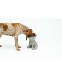 Comedouro para Cão United Pets Up Elisabeth Cinzento Aço inoxidável Polietileno 1 L