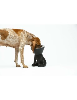 Comedouro para Cão United Pets Up Elisabeth Preto Aço inoxidável Polietileno 1 L