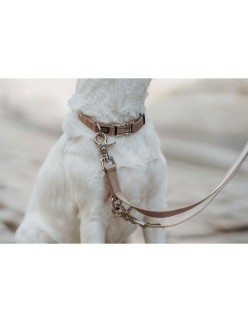 Hundeleine Hunter Inari Beige 200 cm