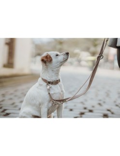 Hundeleine Hunter Inari Beige 200 cm