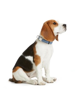 Hundehalsband Hunter VARIO BASIC Blau L 40-55 cm