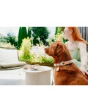 Trela para Cães Hunter MALIA Bege 1 x 200 cm