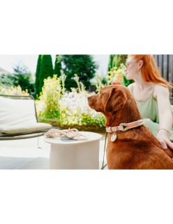 Trela para Cães Hunter MALIA Bege 1 x 200 cm