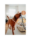 Hundeleine Hunter MALIA Blau 1 x 200 cm
