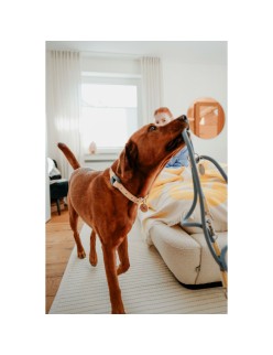 Trela para Cães Hunter MALIA Azul 1 x 200 cm