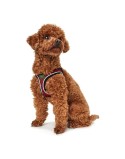Dog Harness Hunter Hilo-Comfort XS-S Red (37-42 cm)