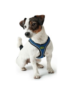 Arnês para Cães Hunter 35-37 cm Azul XS