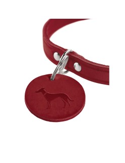 Coleira para Cães Hunter Aalborg Vermelho S 32-38 cm