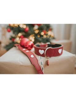 Coleira para Cães Hunter Love M/L 47-54 cm Vermelho