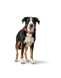 Coleira para Cães Hunter Love M/L 47-54 cm Vermelho