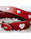 Coleira para Cães Hunter Love M/L 47-54 cm Vermelho