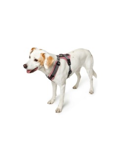 Arnês para Cães Hunter Maldon Up Cor de Rosa 57-98 cm