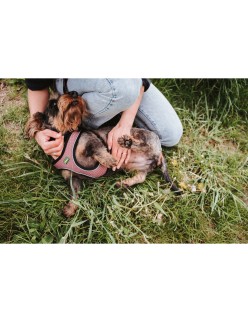 Arnês para Cães Hunter Comfort Cor de Rosa XS 35-37 cm