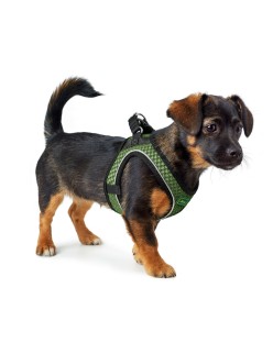 Arnês para Cães Hunter Comfort Verde XS/S 37-42 cm