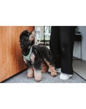 Arnês para Cães Hunter Comfort Verde XS/S 37-42 cm