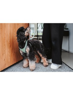 Arnês para Cães Hunter Comfort Verde XS/S 37-42 cm