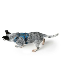 Arnês para Cães Hunter Maldon Up Azul 57-98 cm