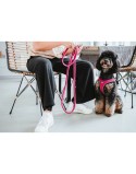 Trela para Cães Hunter Fúcsia 2 m Ajustável