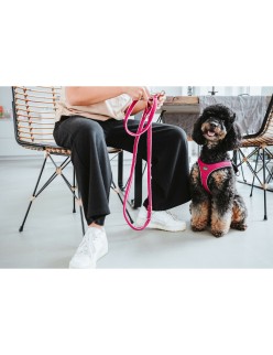 Trela para Cães Hunter Fúcsia 2 m Ajustável