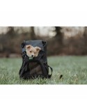 Mochila para animais de estimação Hunter Preto