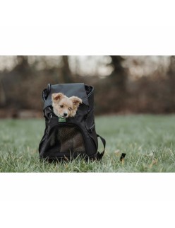 Mochila para animais de estimação Hunter Preto
