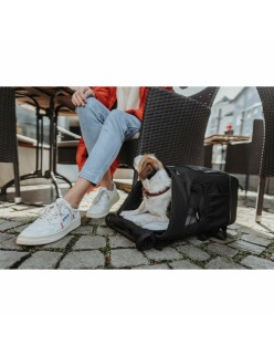 Mochila para animais de estimação Hunter Preto