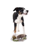 Peluche para perros Hunter Wildlife Train Con cuerda Pato (26 cm)