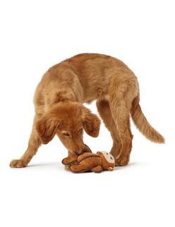 Juguete para perros Hunter Togh Toys Marrón 25 cm Mono