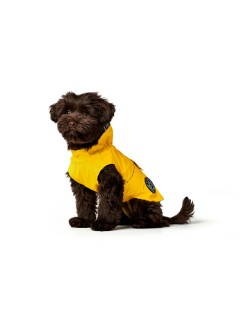 Casaco para Cães Hunter Milford Amarelo 30 cm
