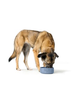 Comedero para Perro Hunter OSBY GLAZED Azul Cerámica 1,9 L
