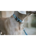 Trela para Cães Hunter Azul 100 cm