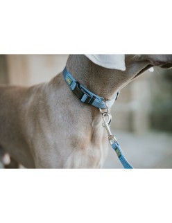 Trela para Cães Hunter Azul 100 cm