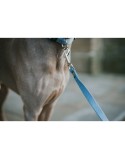 Trela para Cães Hunter Azul 100 cm